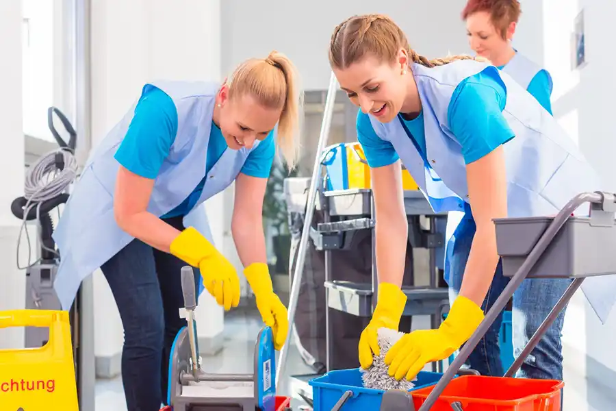 Crisp and Clear Services LLC's other services Crisp and Clear Services LLC's other services